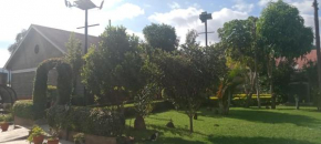 Dole Gardens Naivasha